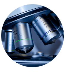 케어젠 배당금 지급일