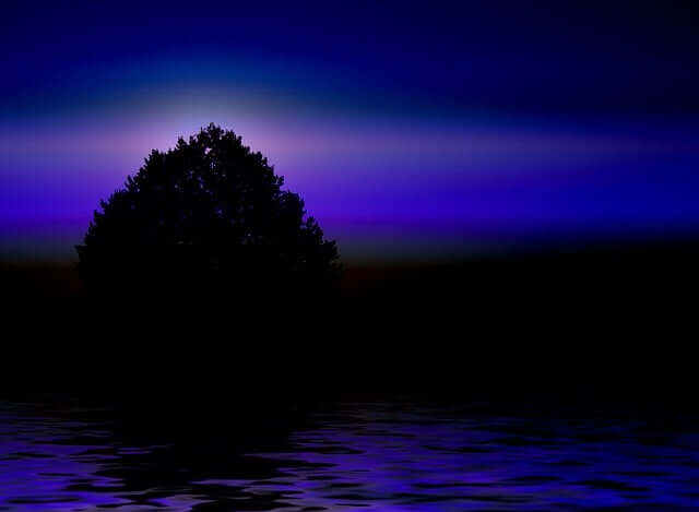 호우 아웃백 이야기