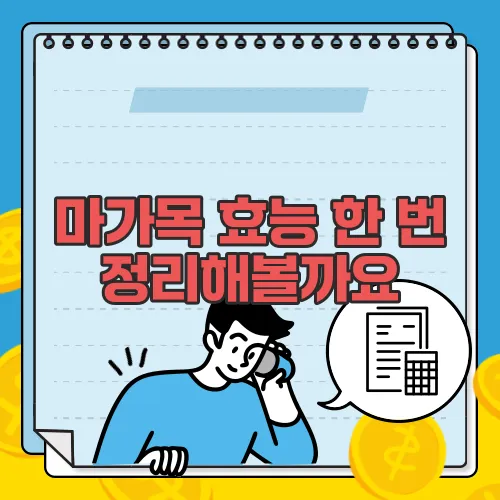마가목 효능 한 번 정리해볼까요