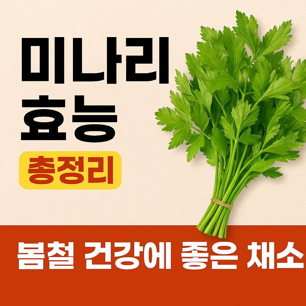 미나리 효능 대표 이미지