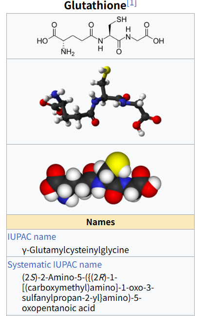 글루타치온이란? 글루타치온 영양제 형태별 효능 비교(L글루타치온 Reduced, Liposomal Glutathione, Liposome, 리포좀 글루타치온, 환원형, 액상형, 필름형, 가루형, 리포즘 글루타치온, 리포존 글루타치온, 리포조말 글루타치온)
