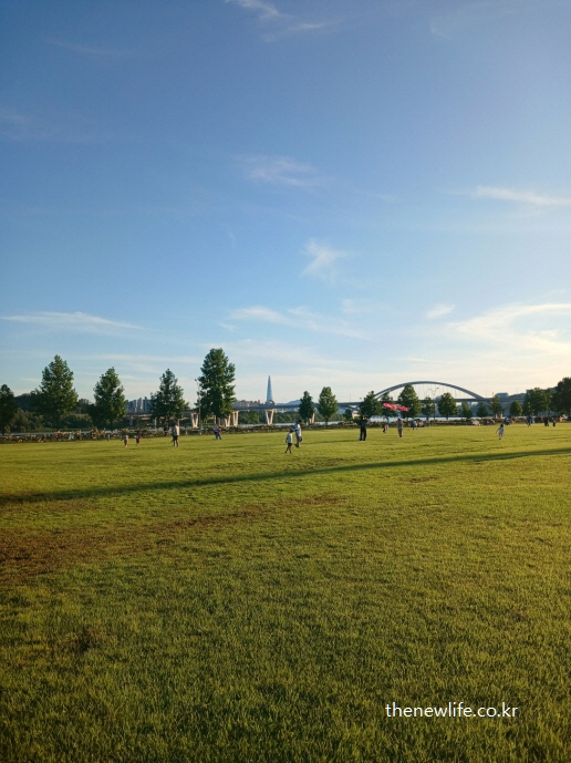 구리 한강시민공원 잔디밭과 롯데타워 원경