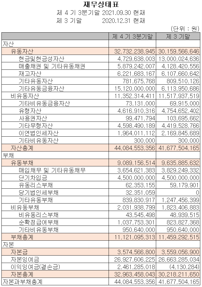 (주)지니틱스 재무상태표