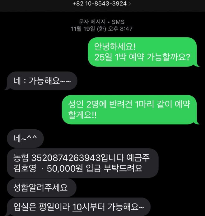 용인 숲속의 아침 캠핑장1