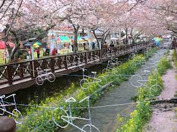  진해군항제 방문객 새로운 볼거리 제공