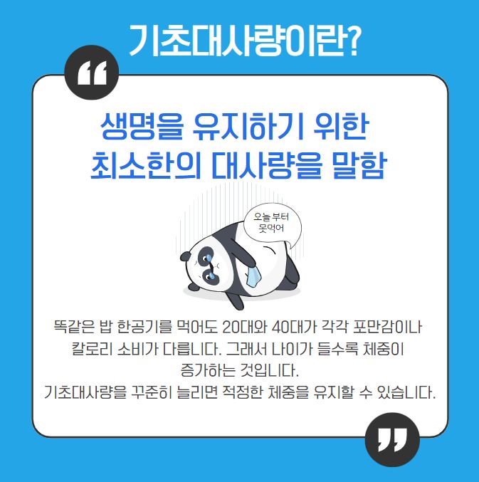기초대사량의 정의