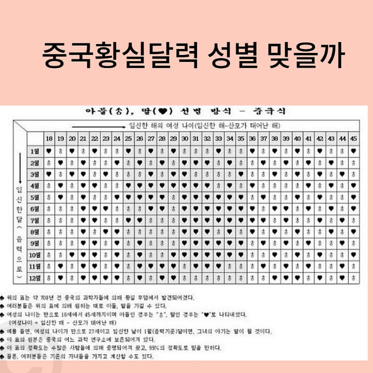태아 성별 확인 사이트 활용한 중국황실달력 아들 딸 예측 및 임신 초기 확인 후기