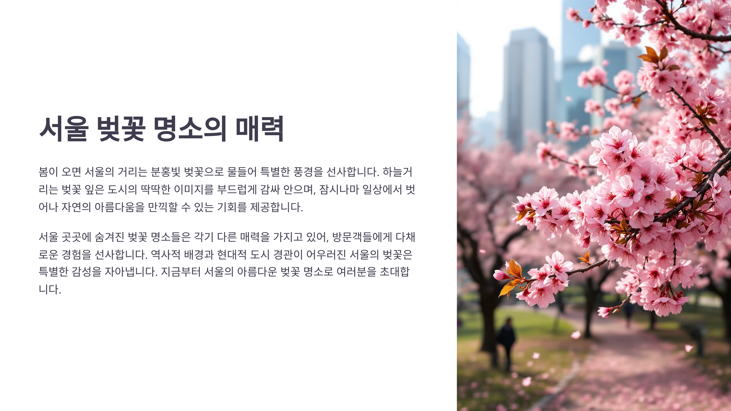 서울 벚꽃 명소의 매력