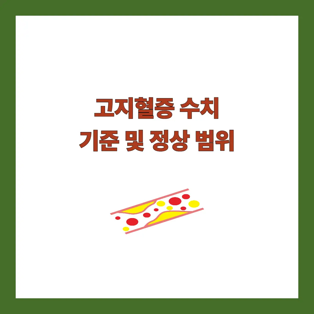 고지혈증 수치