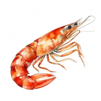 새우 요리 11가지 황금레시피_2