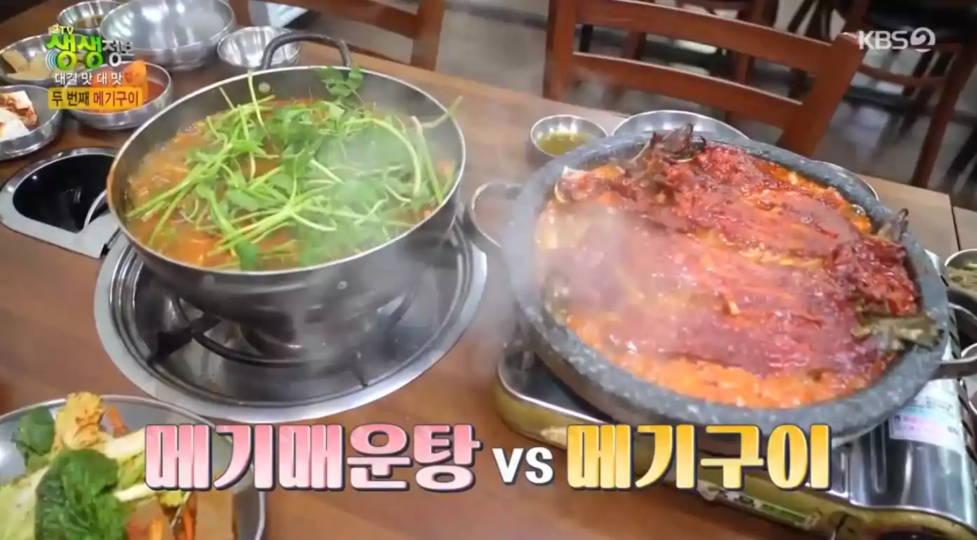 메기매운탕 vs 메기구이