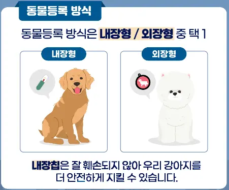 반려견 등록