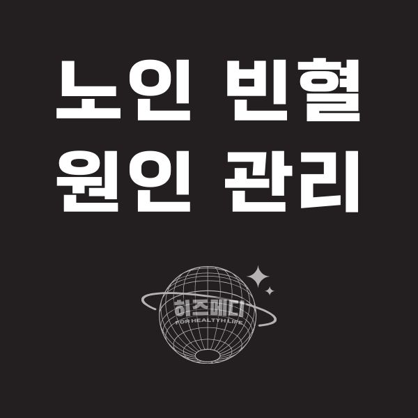 노인 빈혈 원인 관리