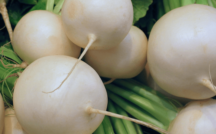 체했을때 먹으면 좋은 음식 무가 놓여 있다