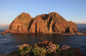 울릉도-배편-예약