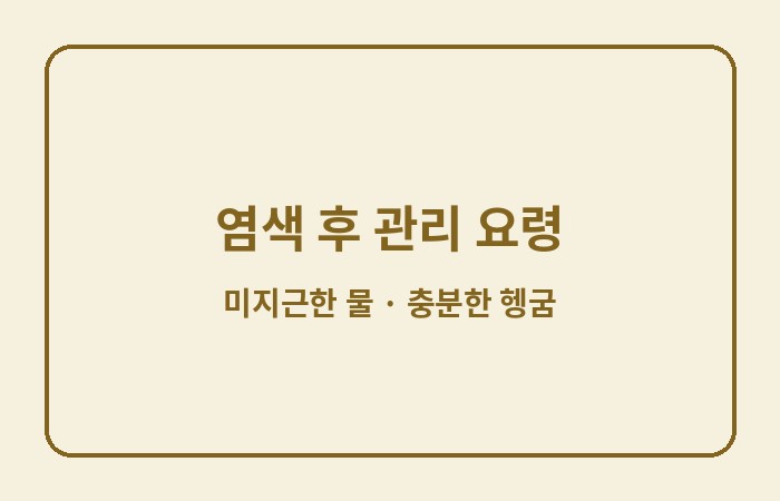 씨드비 물염색 관리 요령