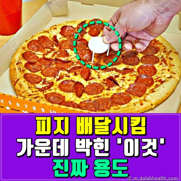 피자 가운데 플라스틱 이름,팁줌