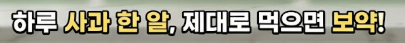 사과 효능