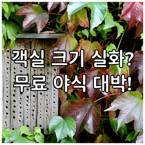 오사카 우메다 숙소 추천 호텔 인터게..
