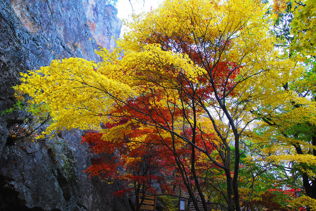 출처 : 충일산악회
