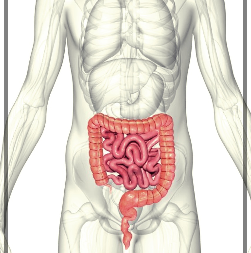 외 치질이 생기면: 증상과 치료방법.