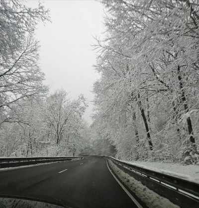 2026 강화도&middot;파주 빙어&middot;송어축제
