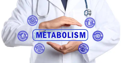 약물 대사체 분석(Metabolite Profiling)의 실제 적용_Phase I/II 대사체 검출과 규제 요건을 중심으로