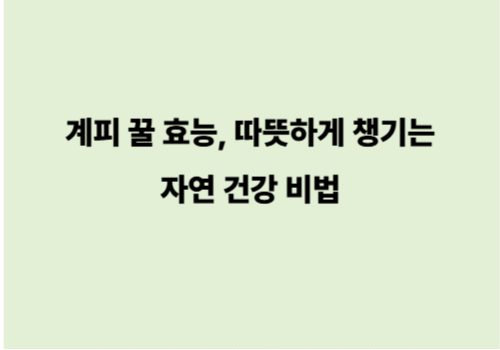 계피 꿀 효능, 따뜻하게 챙기는 자연 건강 비법
