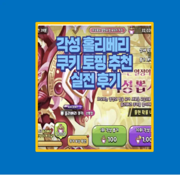 홀리베리 쿠키