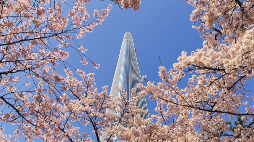 2025년 4월 국내 여행지 추천! 봄꽃과 함께 떠나는 최고의 여행지