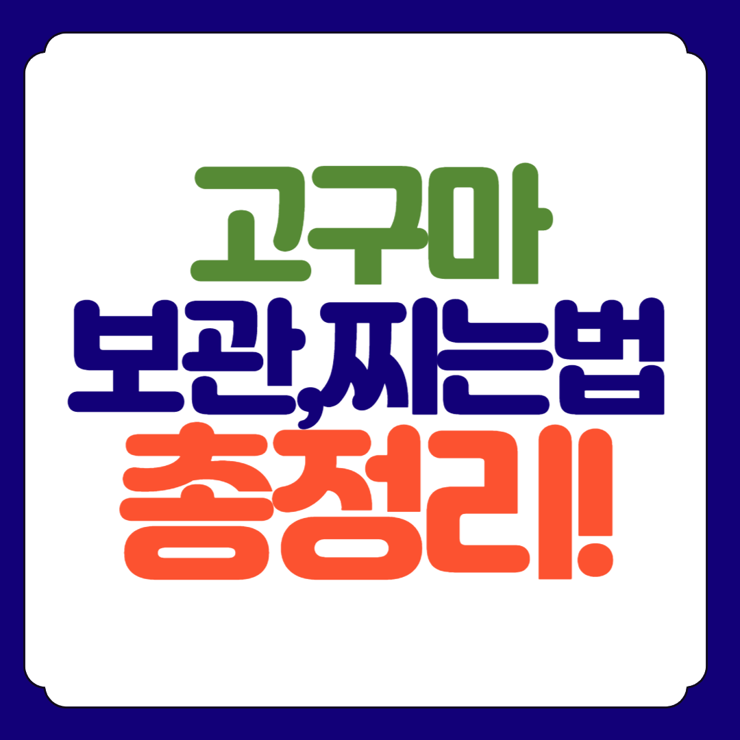 고구마 보관 찌는법 요리 총정리