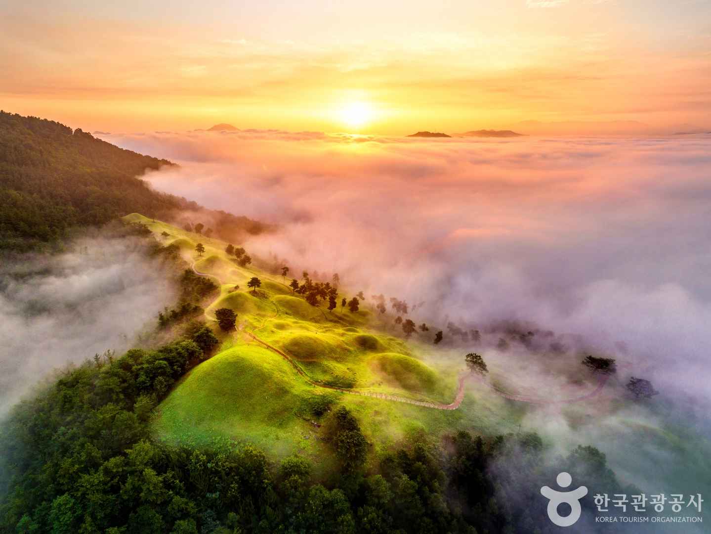 고령 지산동 고분군