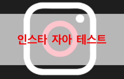 인스타-자아-테스트