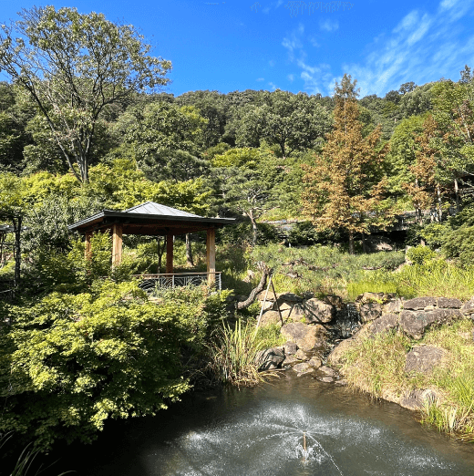 νλ΄μ² μ κ²½μ¬μ§