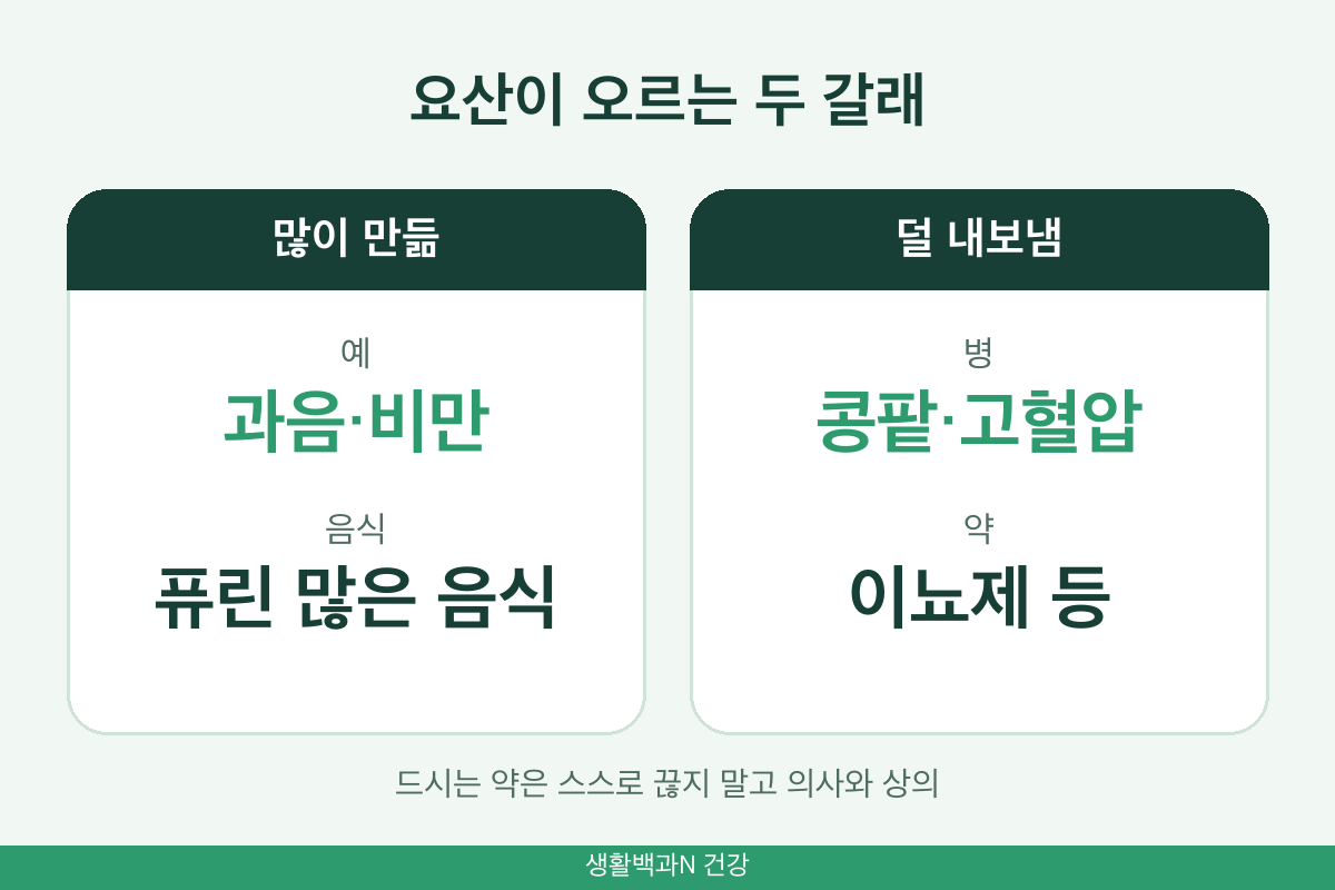 요산 수치 높은 원인 과잉 생산 배설 감소 과음 비만 콩팥 이뇨제