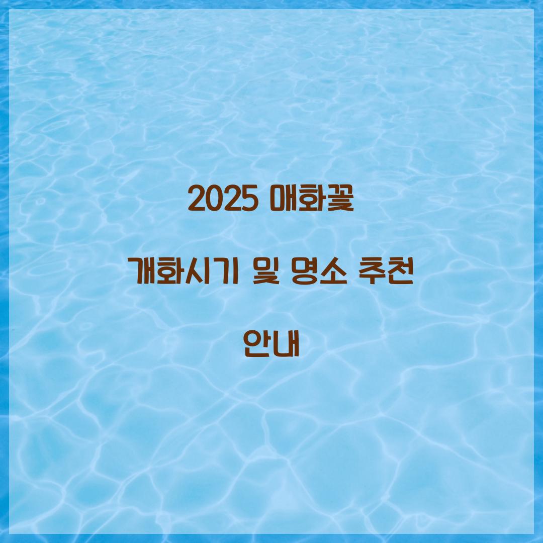 매화꽃 개화시기 2025