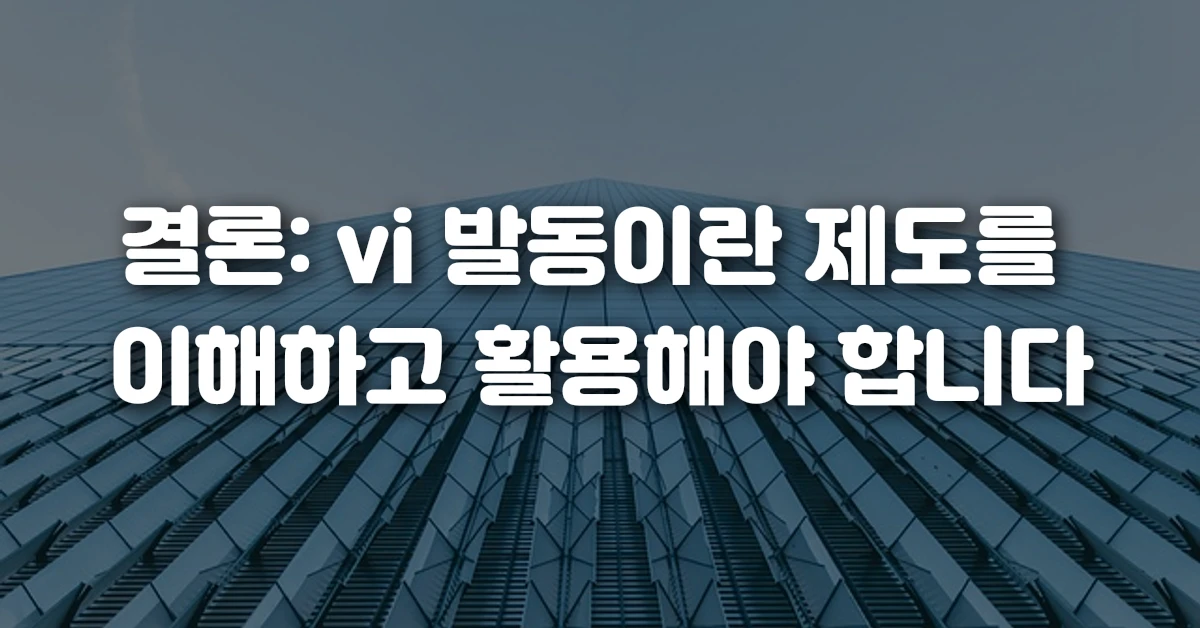 결론 vi 발동이란 제도를 이해하고 활용해야 합니다