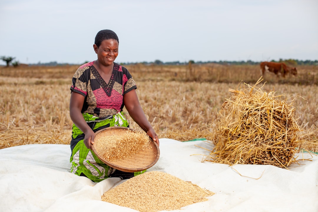 생계급여 신청자격: 2025년 기준과 신청 방법 총정리 관련 이미지 2