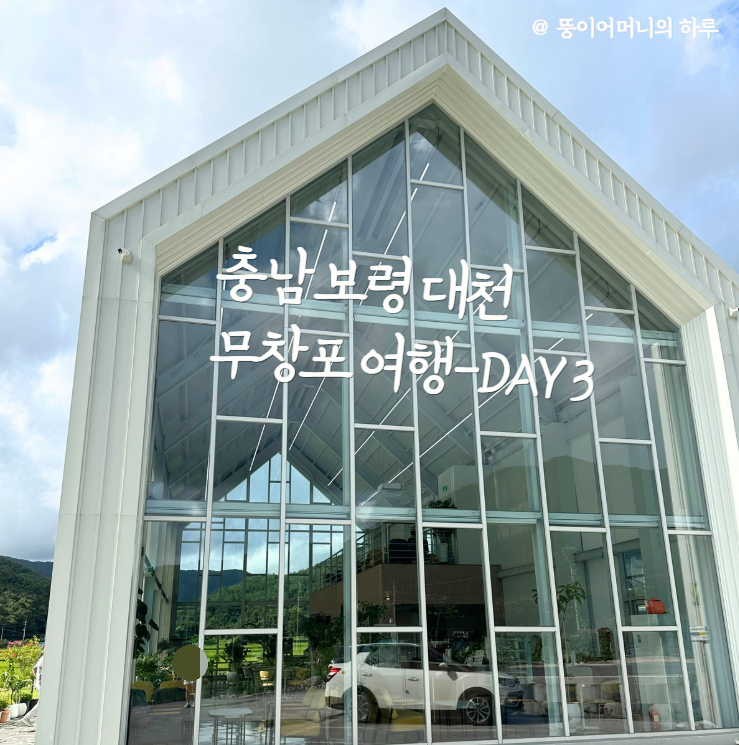 충남 보령, 대천, 무창포 여행 후기3(국내 가족 여행지 추천, 무창포 비체팰리스, 또다시 갯벌체험, 대천 맛집 부페, 점심 밥집 뷔페, 진짜 예쁜 카페 아르나, 분위기 좋은 카페 아르나, 한밤중 닭벼슬섬 산책, 대천항 수산시장 재방문, 찰광어회, 오징어회, 우성수산, 수연호수산, 무창포 비체펠리스, 오션뷰, 밥 해먹을 수 있는 숙소, 무창포 펜션)