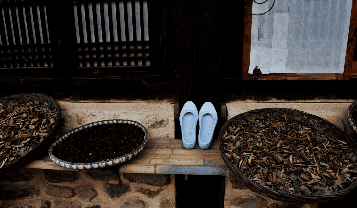 당뇨에_좋은_약초_6