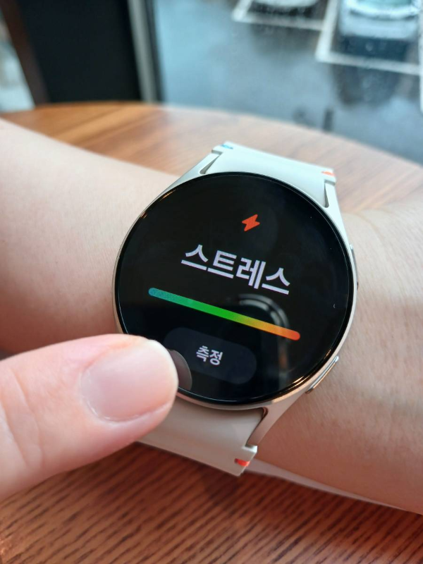 갤럭시워치 7 스트레스 측정