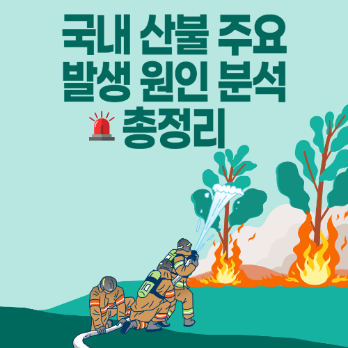 국내 산불 주요 발생 원인 분석 총정리 관련 사진