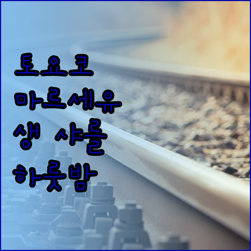 토요코 인 마르세유 생 샤를에서의 특