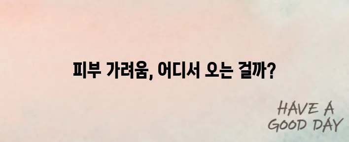 피부가려움증 생기는 이유? 부위별 원인과 대처법