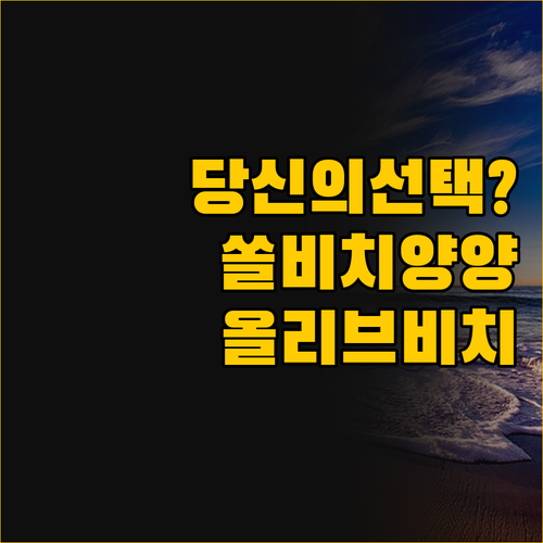 쏠비치 양양 vs 올리브 비치 펜션,..