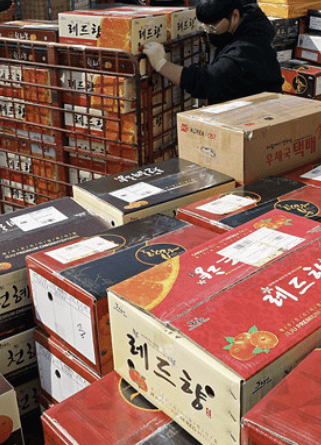  6월 6일 현충일 택배