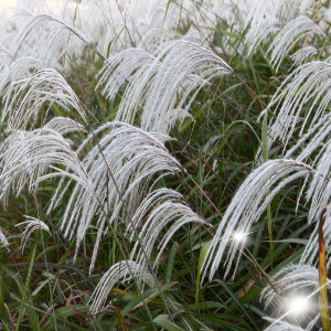가을축제-전국가볼만한곳