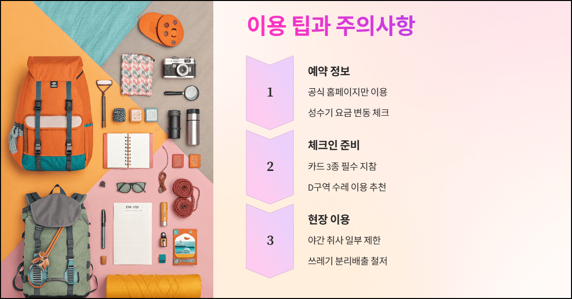 이용 팁과 주의사항