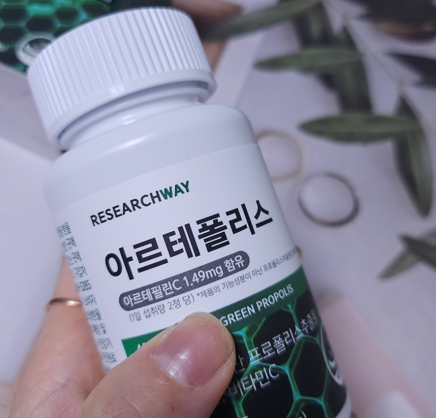 아르테폴리스 내돈내산 후기