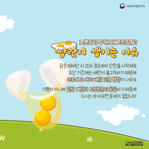 쌍란은-기형이-아닙니다.